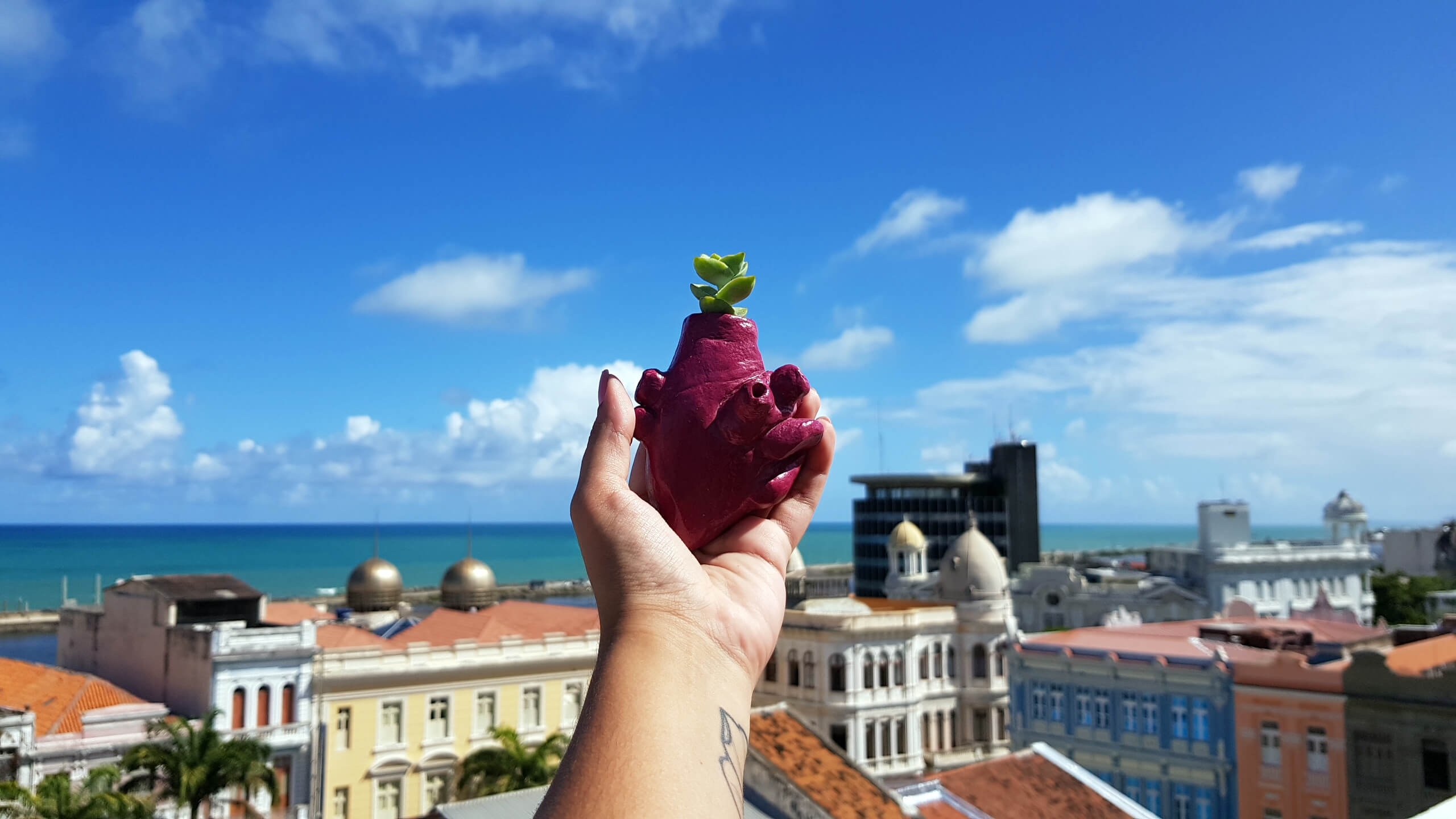 A tumtum está no coração do recife antigo.